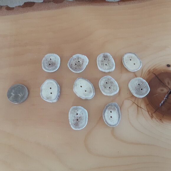 Set Of 10 Handcrafted Authentic Mule Deer Antler Buttons. Nickel Sized - Picture 1 of 3